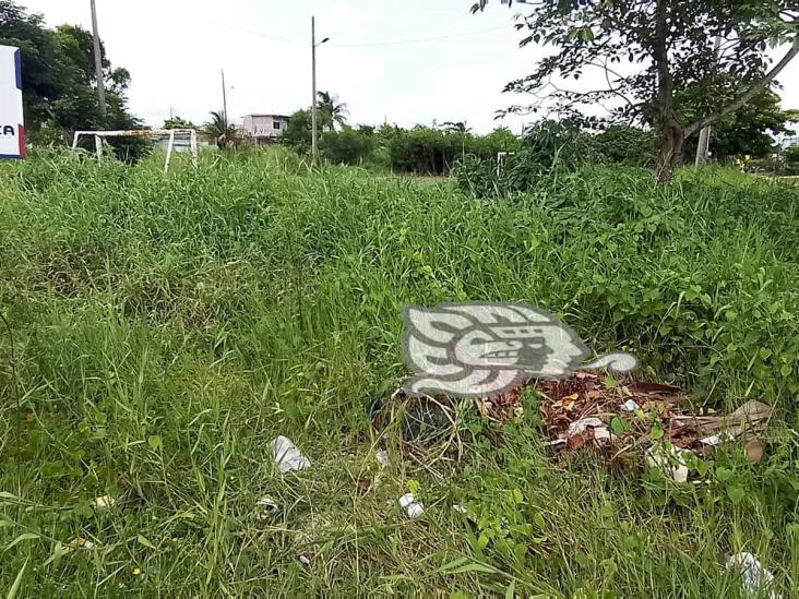 (+Video) Cancha de fútbol rápido de la Morelos, abandonada entre el monte