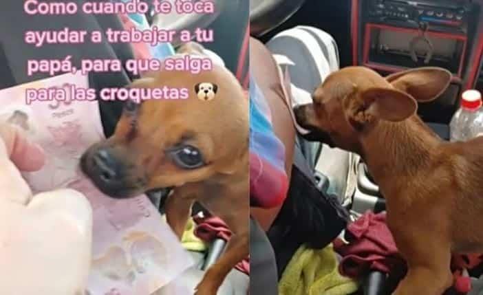 Chiqui trabaja como cobradora de pasaje en el taxi de su dueño (+Vídeo)