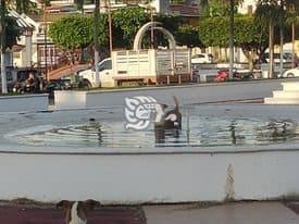 Decidió darse un chapuzón 