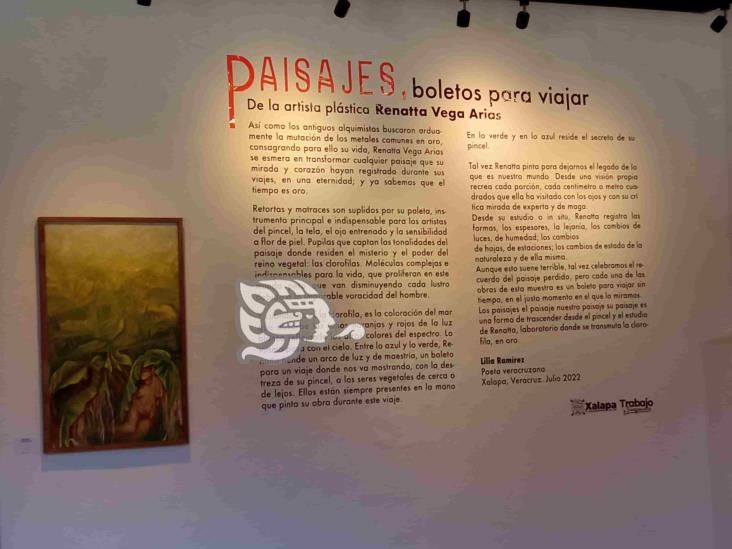 Paisajes, boletos para viajar, pinturas que retratan la naturaleza, en Xalapa