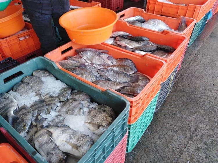 Comerciantes reportan bajas ventas de pescados y mariscos en Veracruz