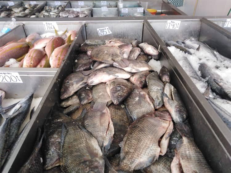 ¿Se te antoja un cóctel? Bajan precios de algunos mariscos y pescados en Veracruz