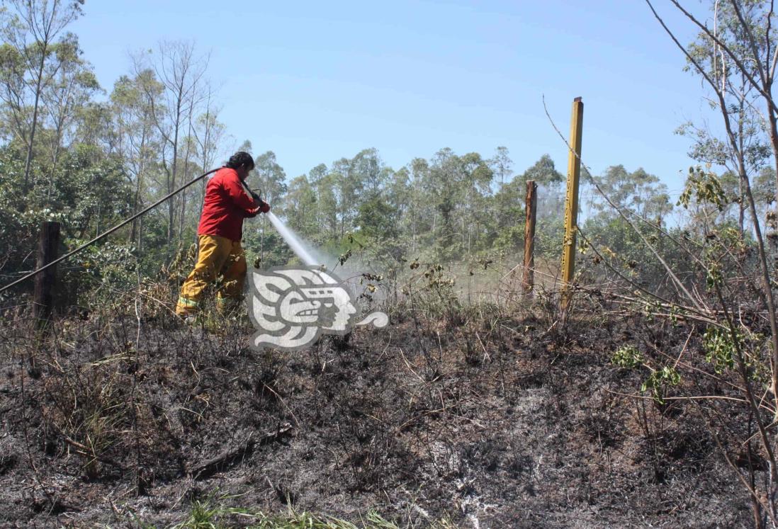 En Las Choapas, ganaderos y agricultores preocupados por incendios