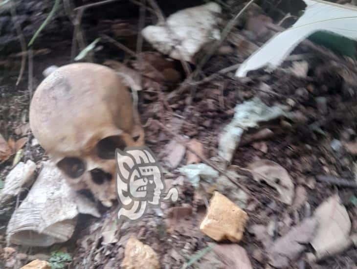 Localizan huesos y cráneo humano en Acayucan