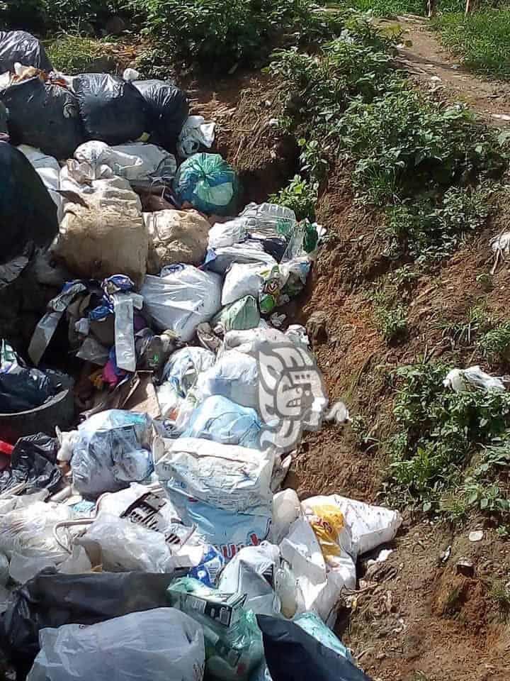 Colonia Moctezuma, en Xalapa, ‘inundada’ de basura por mal servicio de Recolección