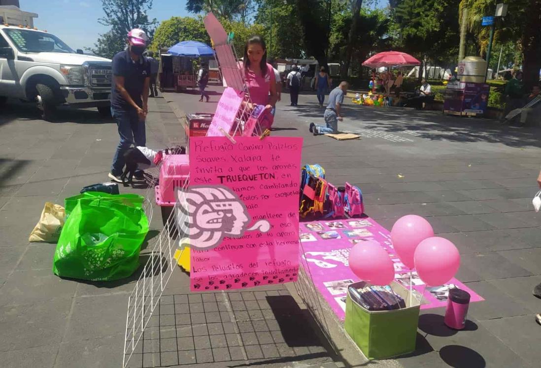 Inspectores desalojan a participantes de Trueque de Croquetas en Xalapa