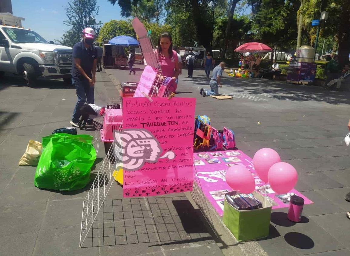 Inspectores desalojan a participantes de Trueque de Croquetas en Xalapa