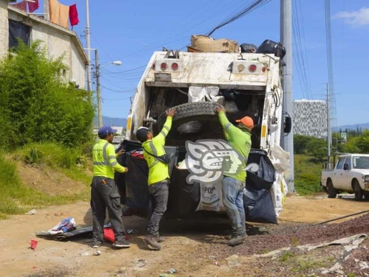 Colonia Moctezuma, en Xalapa, ‘inundada’ de basura por mal servicio de Recolección