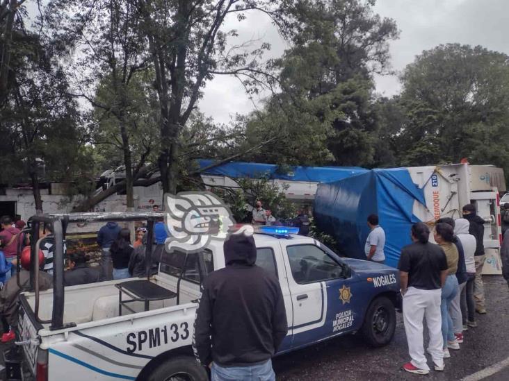 Tráiler choca contra vivienda, ubicada cerca de Laguna de Nogales