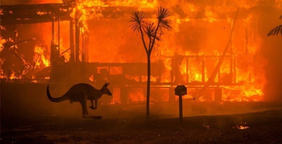 Los cuatro jinetes del fin del clima, ¿el desastre ambiental está cerca?