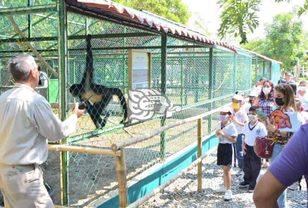 Jaguarundi iniciara curso de verano esta semana en Coatzacoalcos