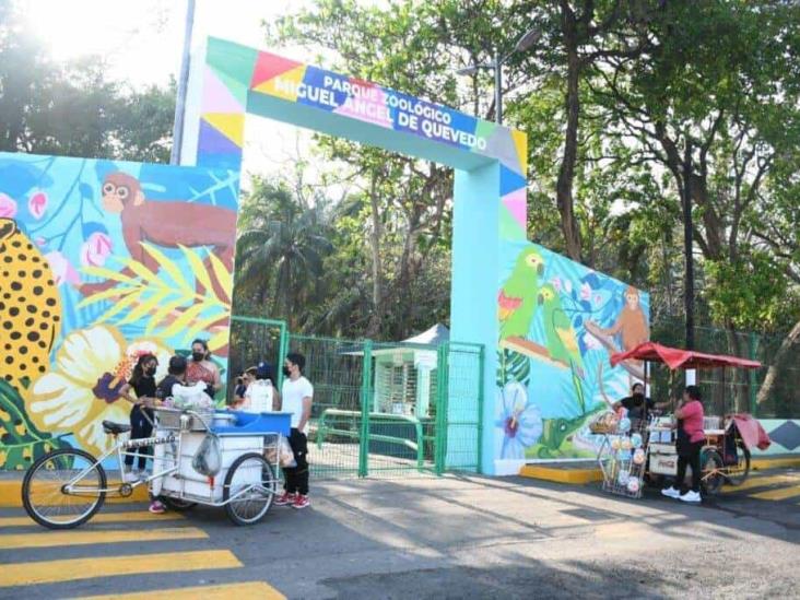 ¡Por vacaciones! Niños en el zoológico en Veracruz tendrán acceso gratis a la alberca