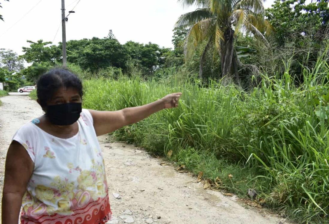 Temen que cocodrilo esté devorándose a las mascotas en la Frutos de la Revolución