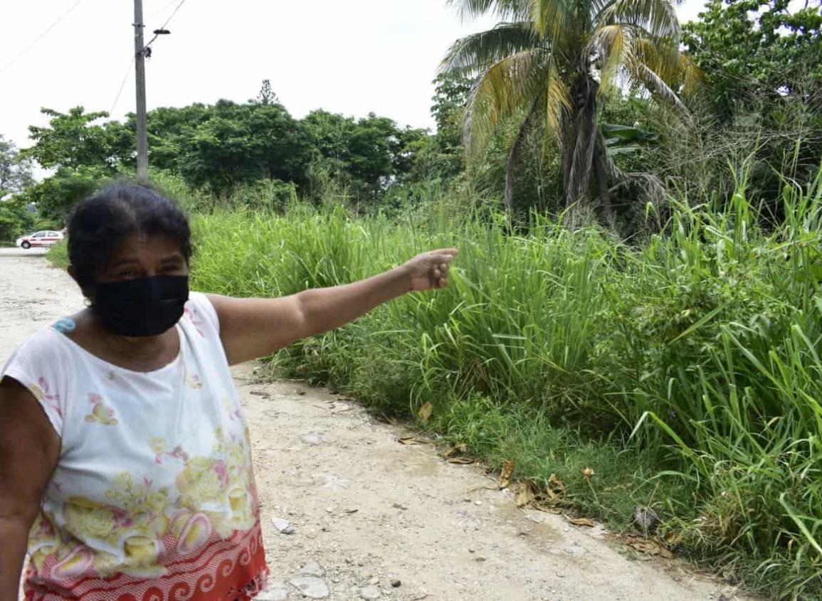 Temen que cocodrilo esté devorándose a las mascotas en la Frutos de la Revolución