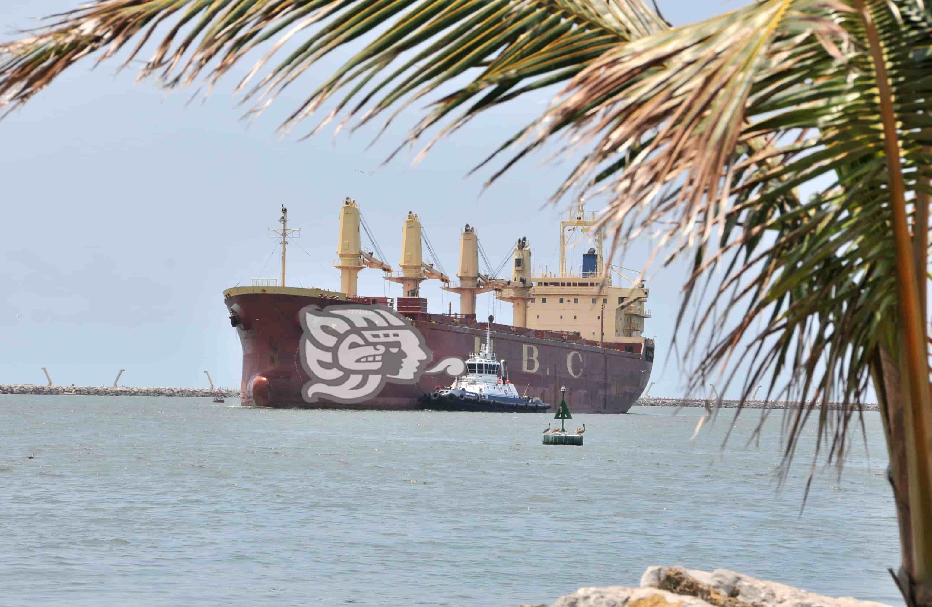 Creció 23% el manejo de contenedores en el puerto de Coatzacoalcos 