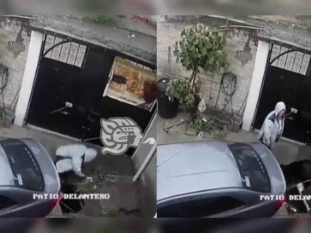 (+Video) ¡Casi se lo traga la tierra! hombre cae en socavón en su patio