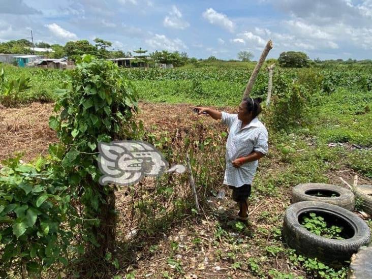 (+Video) Quieren despojarla de terreno por el que pagó $30 mil en Cosoleacaque