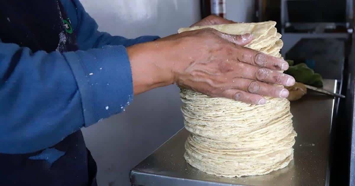 ¿Cómo distinguir las tortillas piratas?