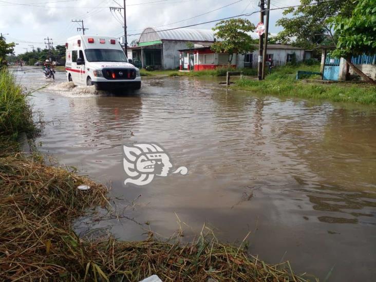 Entre aguas negras y maleza caminan en la Trópico