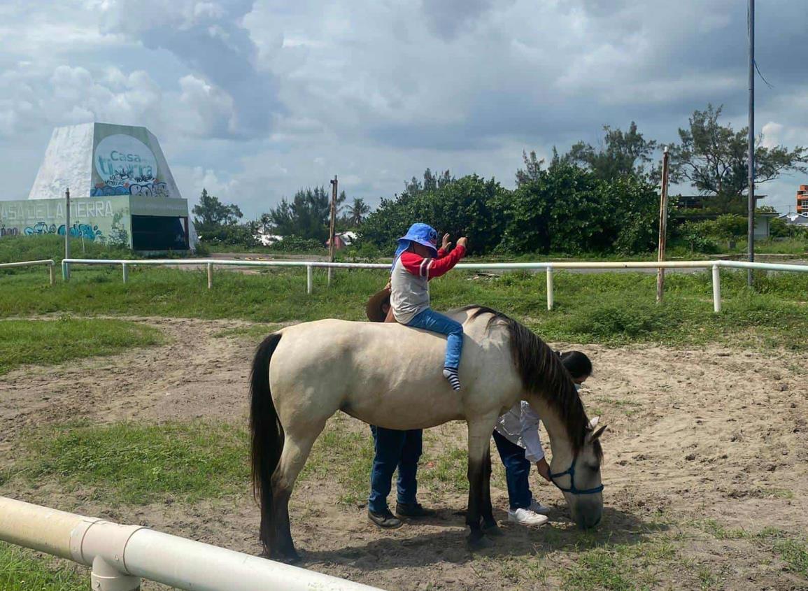 Video: Con equinoterapia, Héctor dio sus primeros pasos pese a parálisis cerebral