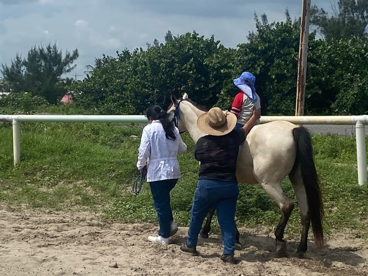 Video: Con equinoterapia, Héctor dio sus primeros pasos pese a parálisis cerebral