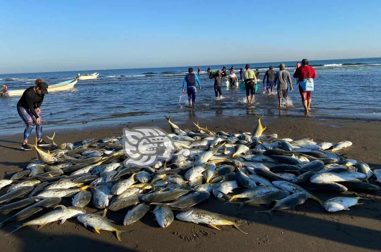 ‘Resucita’ actividad pesquera en Coatzacoalcos, reportan