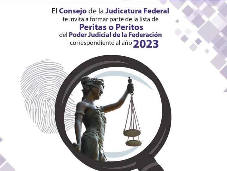 Convocan a integrar la lista de Peritos del Poder Judicial