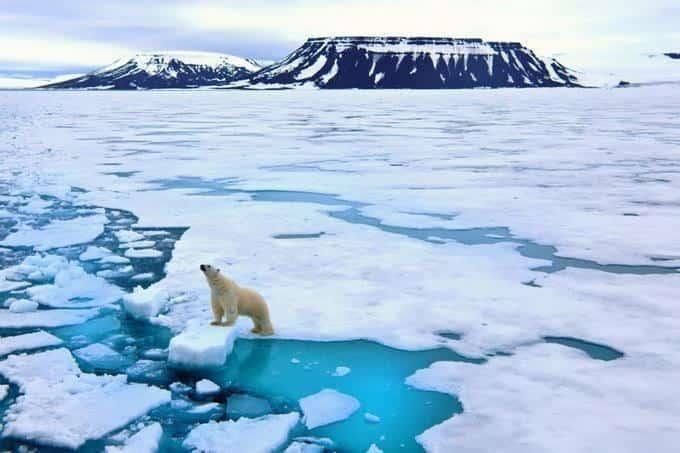 Ártico se calienta casi cuatro veces más rápido que el resto del mundo