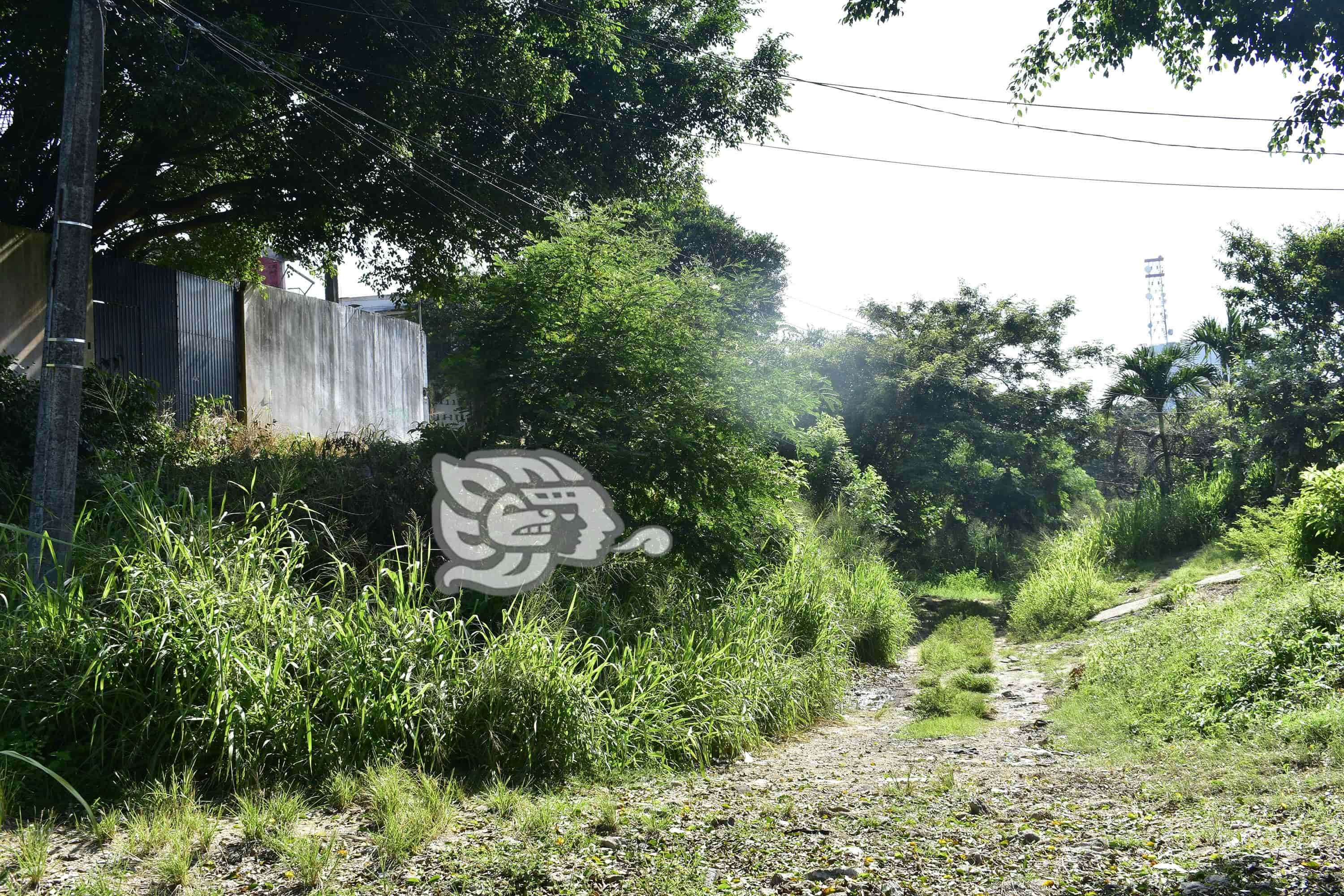 Vecinos de la colonia Benito Juárez norte piden vigilancia