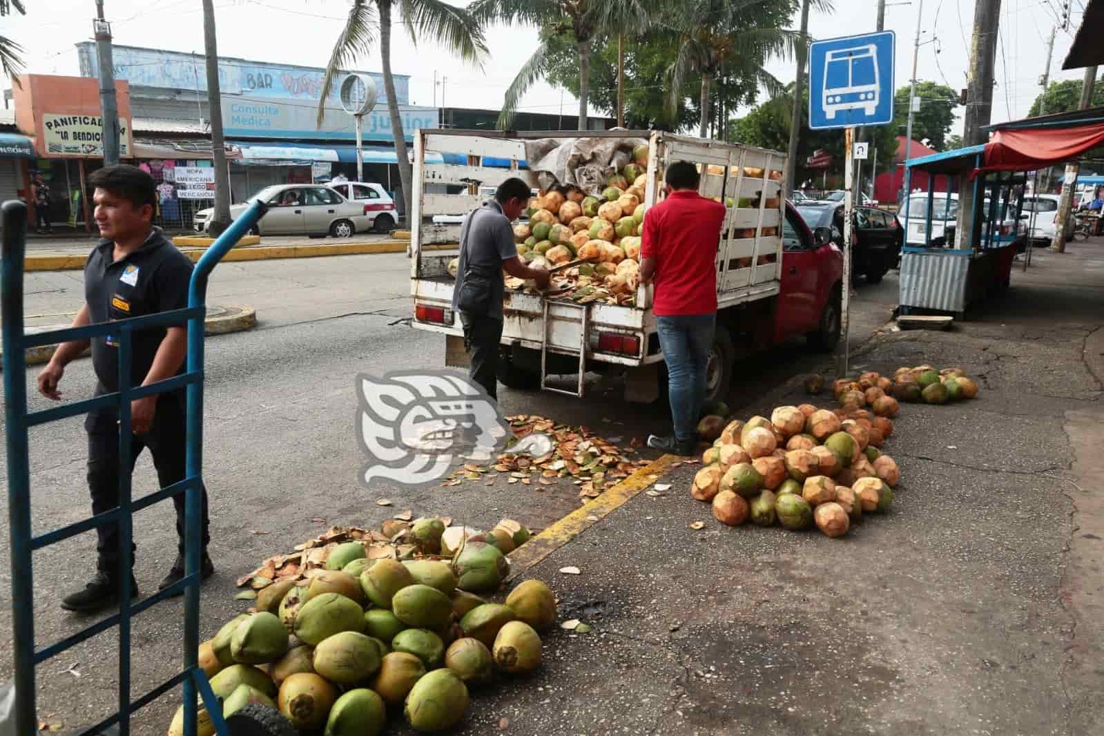 Desde Tabasco, llegan los cocos a Coatzacoalcos