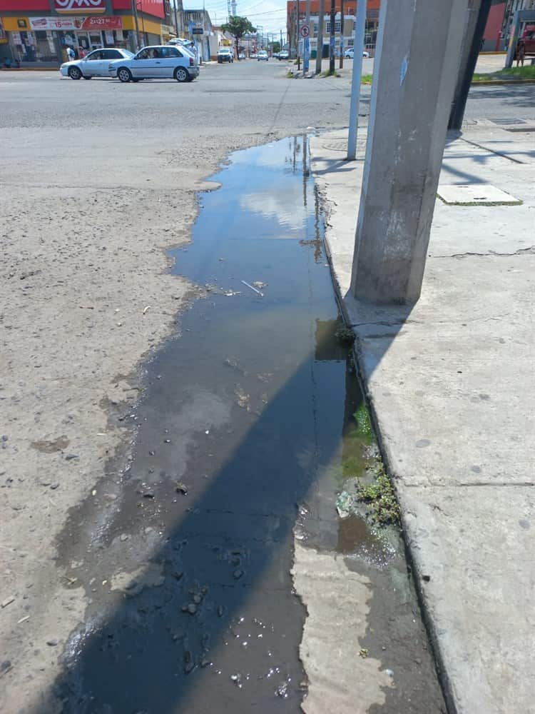 Entre baches y drenaje, así lucen las calles de este fraccionamiento en Veracruz