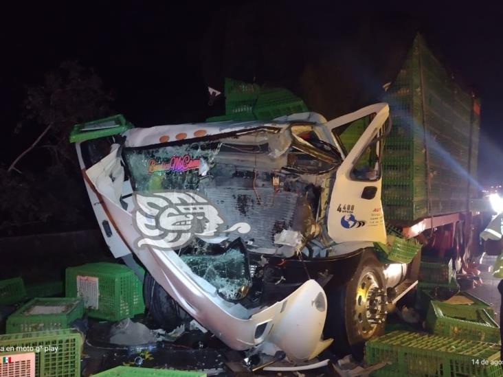 Chocan tractocamiones en la autopista Córdoba-Veracruz; hay un muerto