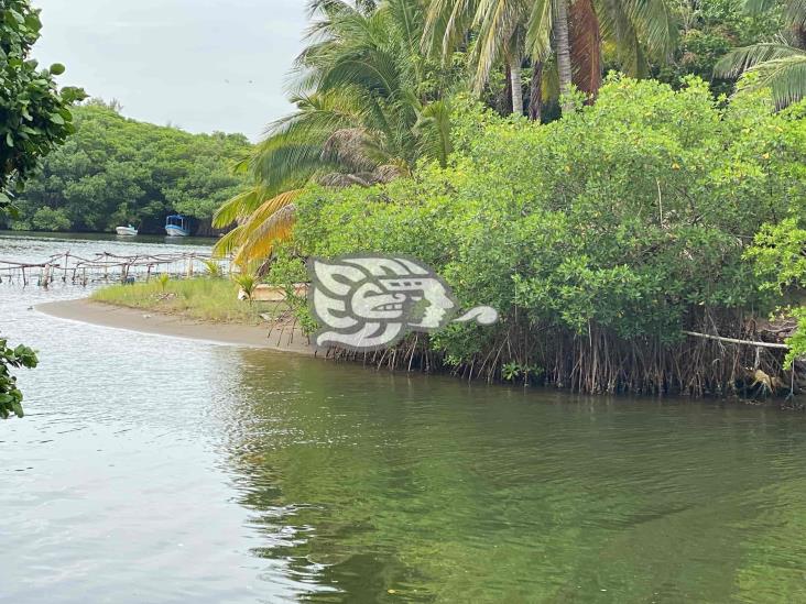 (+Video) Agoniza producción en la Laguna del Ostión, de Las Barrillas