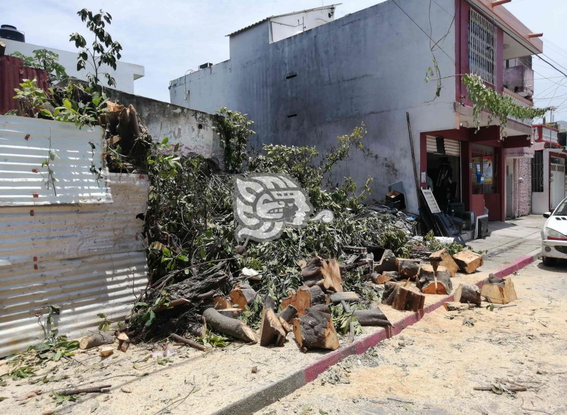 De basurero toman céntrico terreno