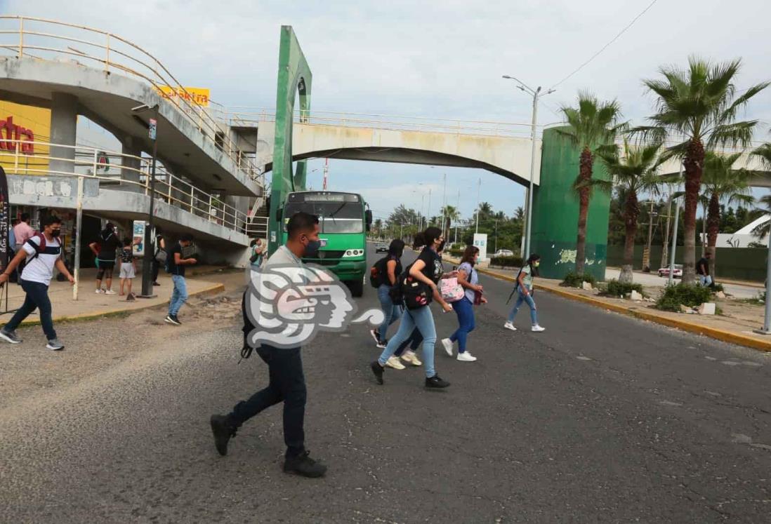 (+Video) A pesar de los riesgos, muchos prefieren no usar puente peatonal