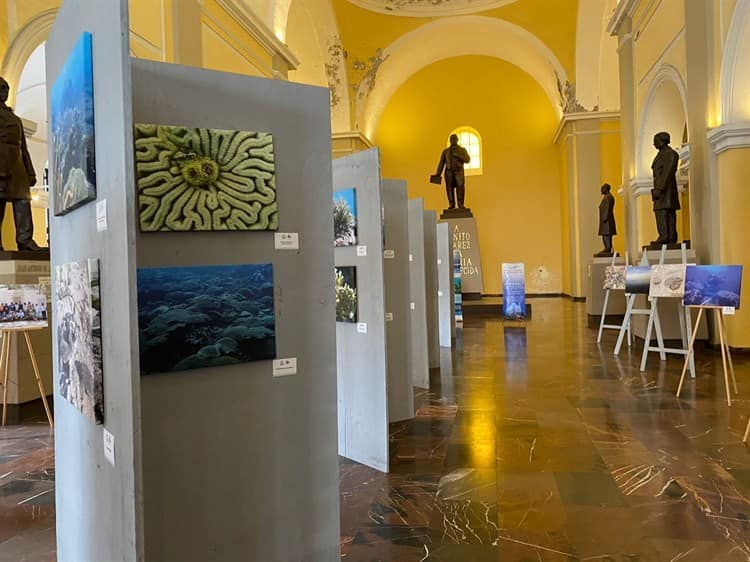 Celebran tres décadas de protección a arrecifes veracruzanos con fotos (+Video)