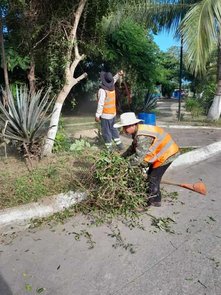 Continúan las acciones para eliminar criaderos de mosquitos en Cardel