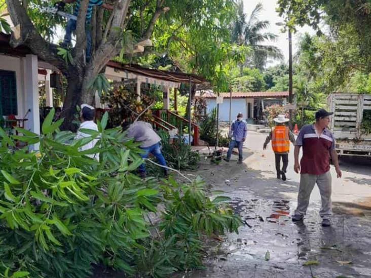 Continúan las acciones para eliminar criaderos de mosquitos en Cardel