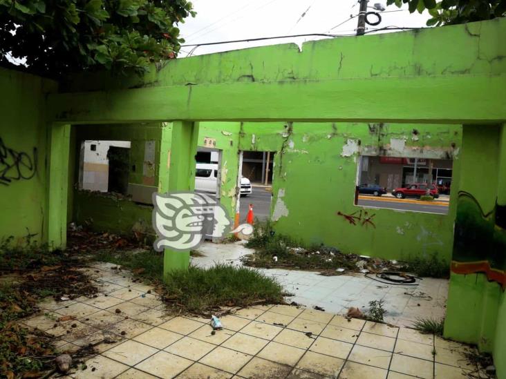 (+Video) Abandonado el antiguo mondongazo; se volvió guarida de malvivientes