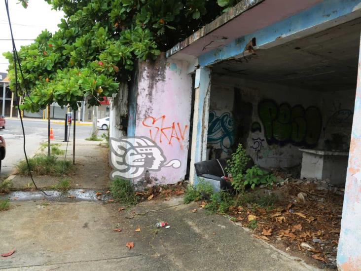 (+Video) Abandonado el antiguo mondongazo; se volvió guarida de malvivientes