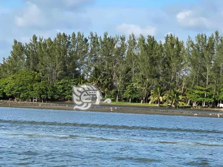 (+Video) Agoniza producción en la Laguna del Ostión, de Las Barrillas