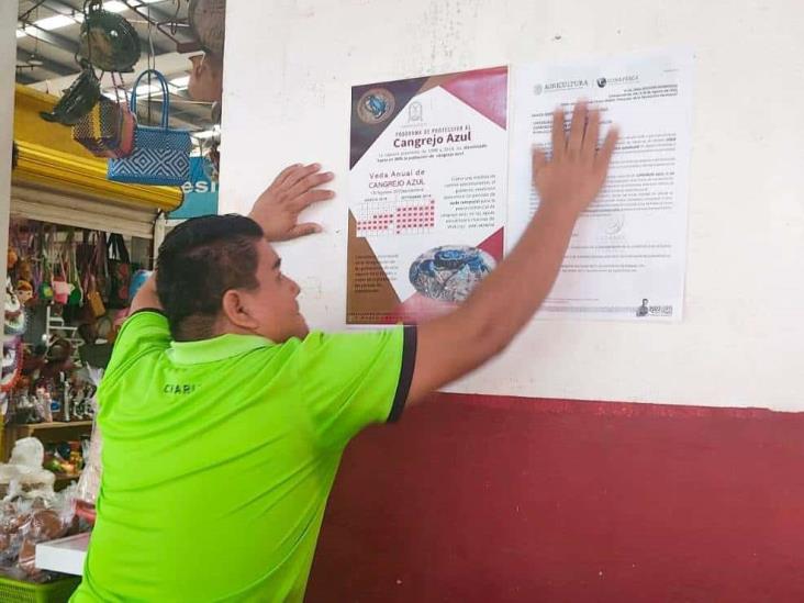 Promueven veda del cangrejo azul en Coatzacoalcos