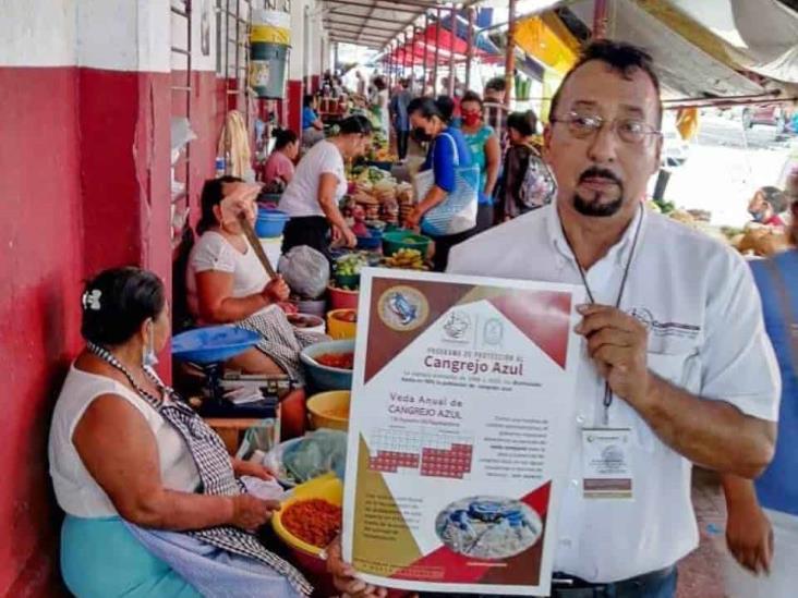 Promueven veda del cangrejo azul en Coatzacoalcos