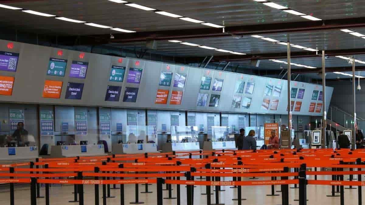 En aeropuerto de Bangkonk, detienen a sujeto con 17 animales vivos en su equipaje