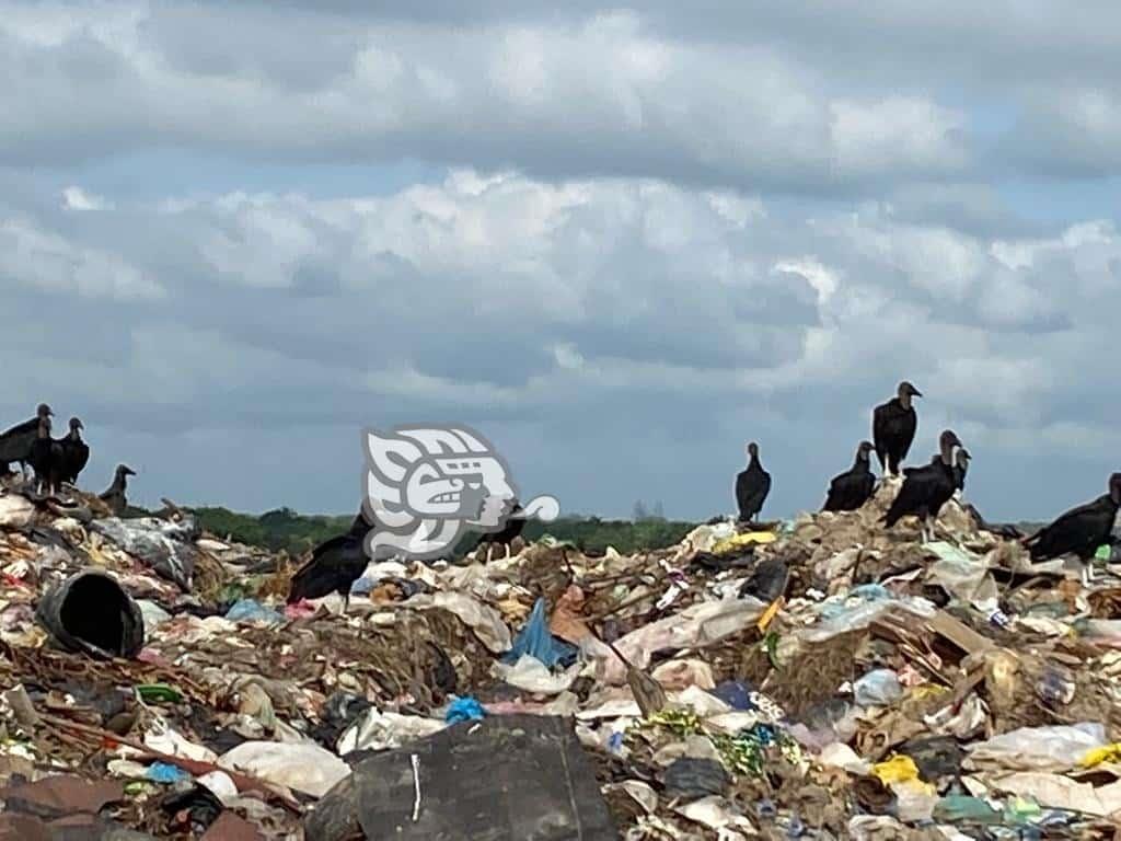 Buscan a quien haya abandonado feto en basurero ‘Las Matas’