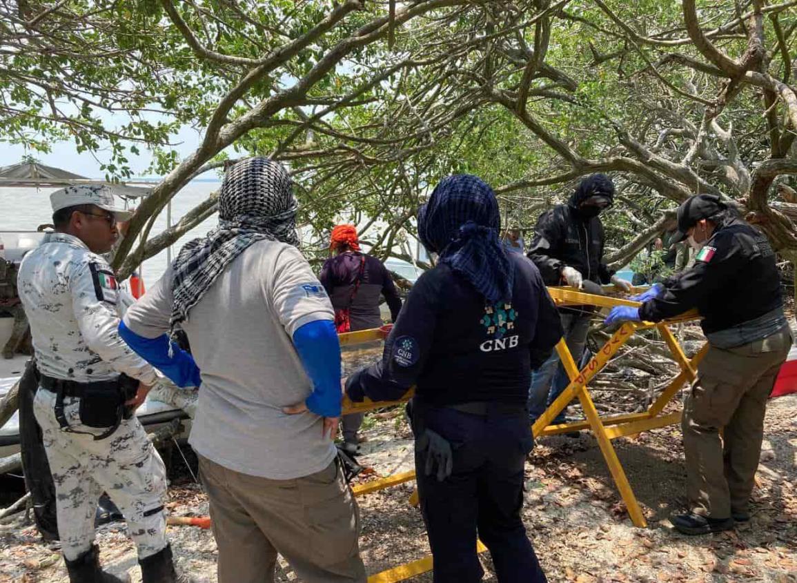 Colectivo Solecito concluye búsqueda en fosas de Arbolillo, buscarán en otros puntos