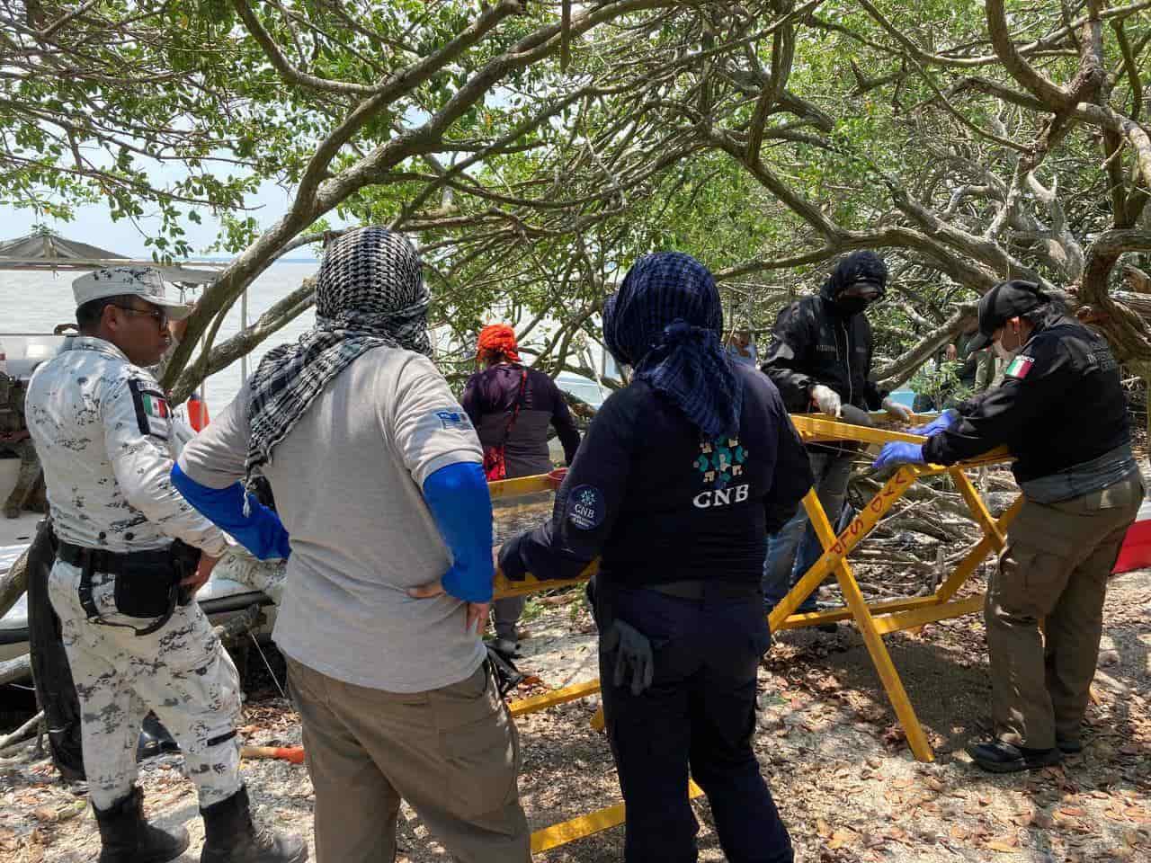 Colectivo Solecito concluye búsqueda en fosas de Arbolillo, buscarán en otros puntos