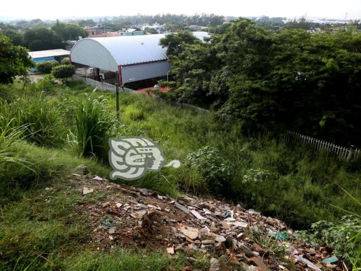 (+Video) Monte y basura, devoran una cuadra completa en Coatzacoalcos