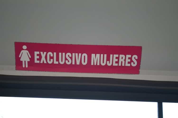 Conoce a Carolina, la conductora de camiones rosas más joven de Veracruz