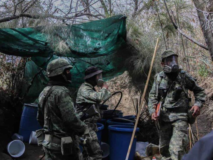 ‘Fantasma’ del fentanilo ronda al mercado de las drogas en Veracruz